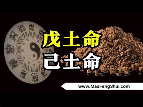 桑鬆土命意思